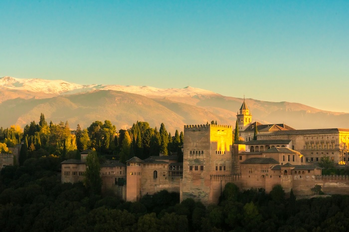 Doctranslator Spanish